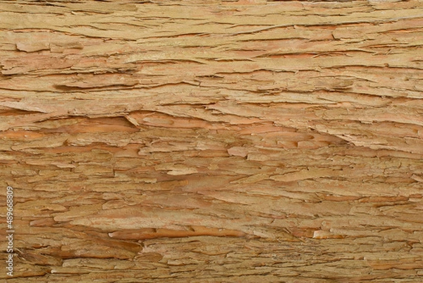 Obraz 新しい樹皮テクスチャ