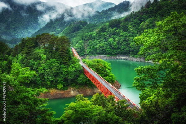 Obraz 【静岡県】奥大井湖上駅