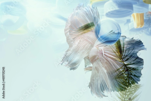 Fototapeta Creative double exposure of Siamese fighting fish with used plastic bottle caps in  water.Concept background for environmentalism and plastic awareness.