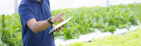 Fototapeta Young asian man examining vegetables lettuce with tablet computer in hydroponic system organic farm, male is harvest for agriculture at greenhouse, entrepreneur checking farmland and industry.