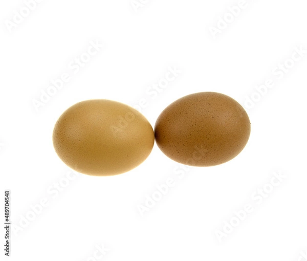 Obraz two chicken eggs isolated on a white background