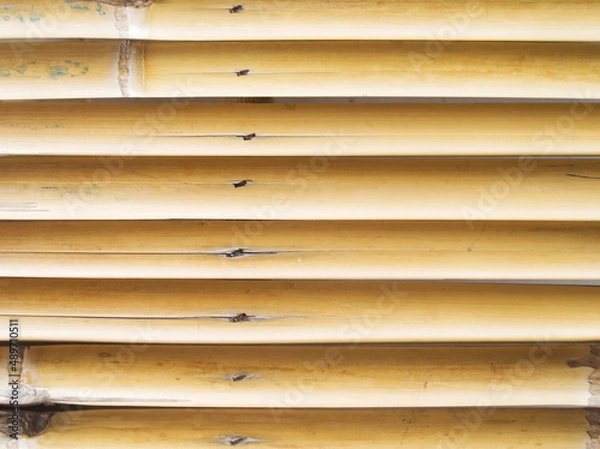 Obraz Yellow bamboo for background