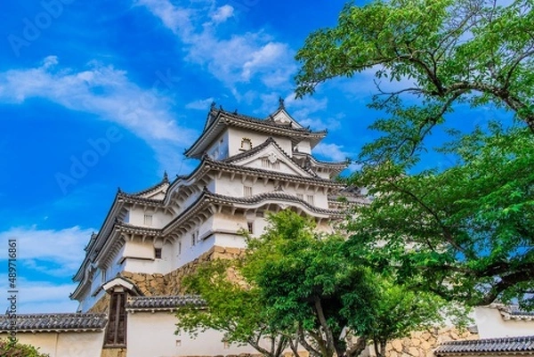 Fototapeta アジアの日本の伝統的な建物であるお城