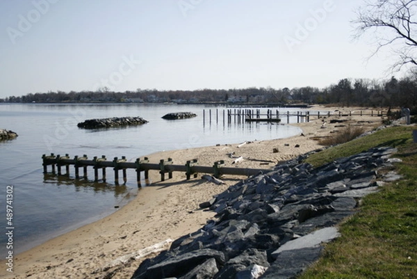 Obraz landscape with a lake