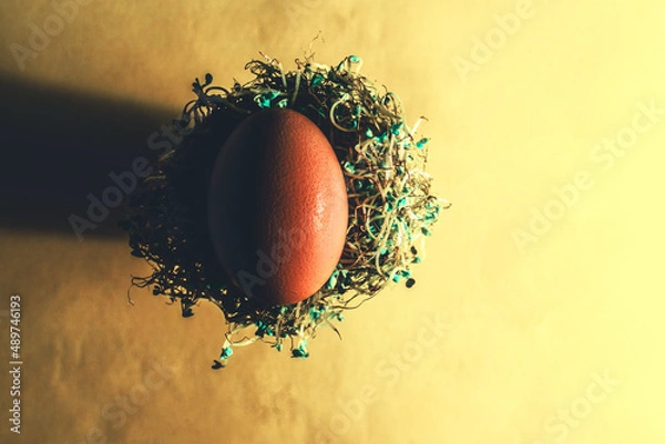 Obraz przyroda i nie tylko