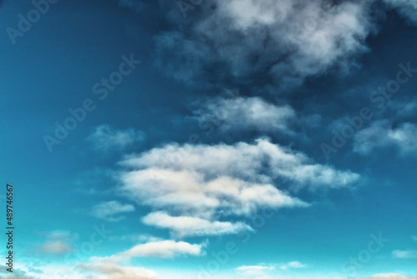 Obraz przyroda i nie tylko