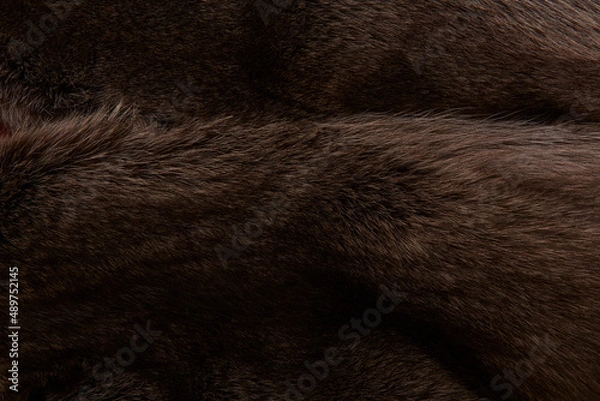 Obraz Textur Fell und Pelz.