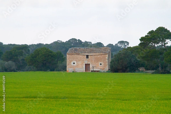 Obraz casa de pubelo

