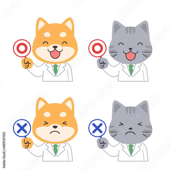 Obraz 正解と不正解の説明をする動物の先生