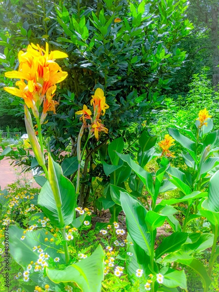 Obraz Dreamy spring garden emitting inspiring light.