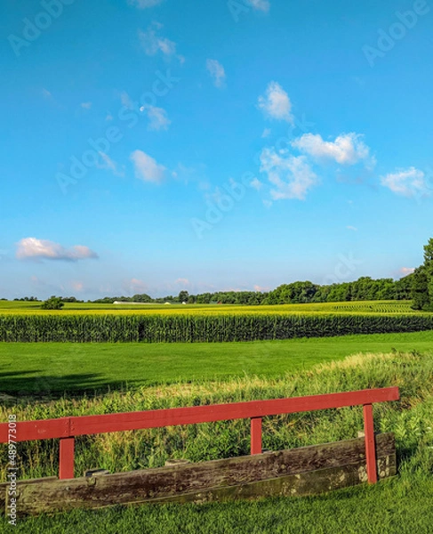 Obraz Vibrant green rolling field with deep blue sky and red fence.