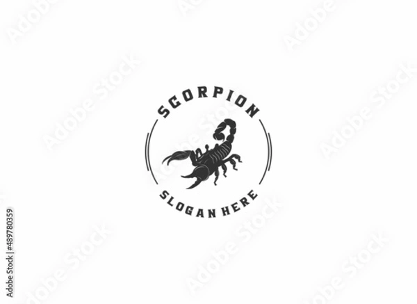 Obraz scorpion logo template vector in white background