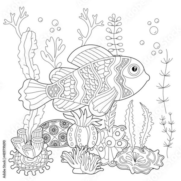 Fototapeta Contour linear illustration. Fish, seaweeds and ocean corals for coloring book. Cute objects, anti stress picture. Line art design for adult or kids in zentangle style and coloring page.