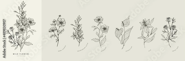 Fototapeta Trendy floral branch and minimalist flowers for logo or decorations. Hand drawn line wedding herb, elegant leaves for invitation save the date card. Botanical rustic trendy greenery