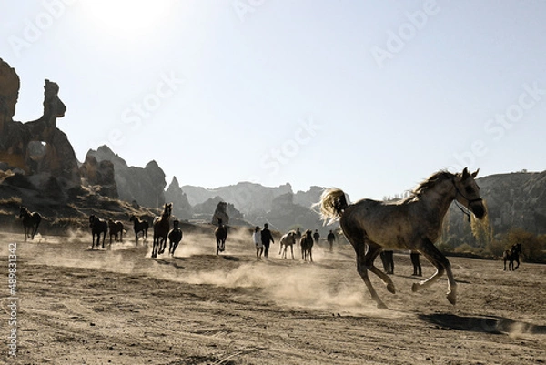 Obraz 82 Turkey Kapadocja