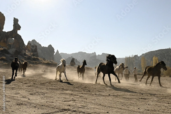 Obraz 83 Turkey Kapadocja