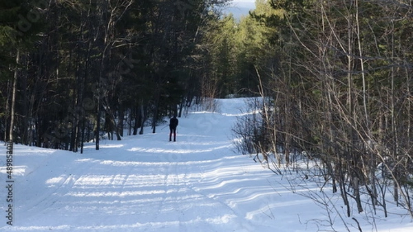 Obraz river in winter