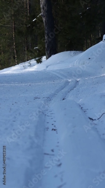 Obraz track in the snow