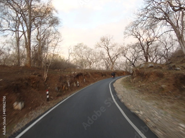 Obraz road in the forest