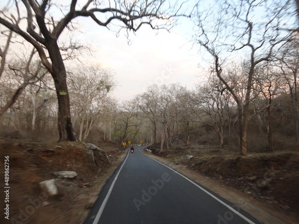 Obraz the road in the forest