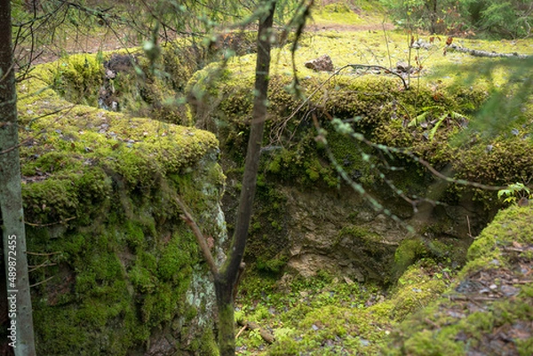 Fototapeta a piece of the defensive wall is covered in moss - an abandoned stone fortress in the forest