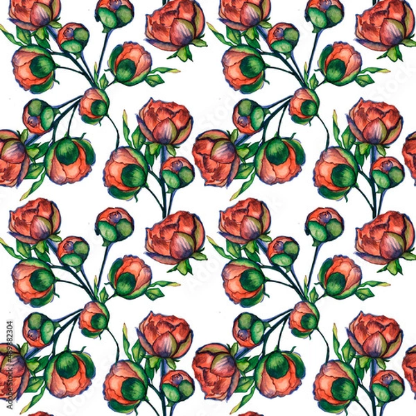 Fototapeta seamless pattern red watercolor peonies. Red flowers. Hand drawn flowers. red flowers with green leaves on a white isolated background.