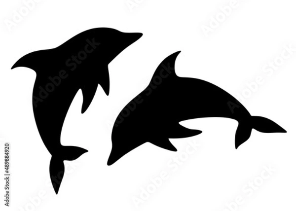 Obraz Large sea dolphins. Vector image.