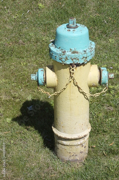 Obraz Canadian fire hydrant