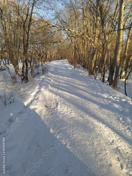 Fototapeta path in winter
