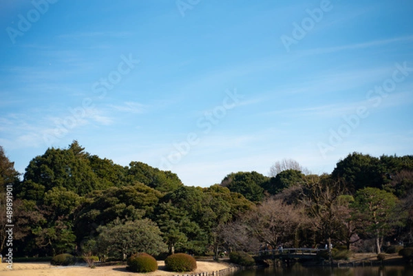 Obraz 일본 도쿄 신주쿠교엔 공원