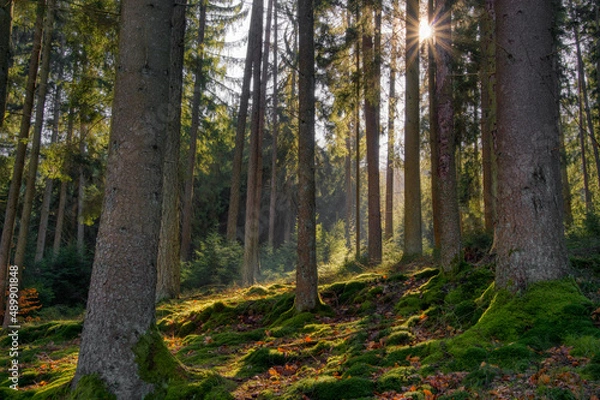 Obraz Co2 Neutral - Net Zero 2050