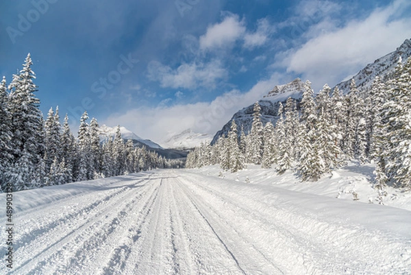 Obraz Icefields Pkwy