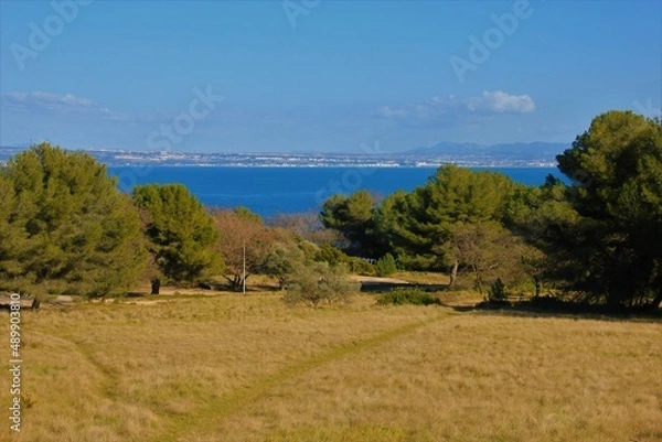 Obraz étang et champ