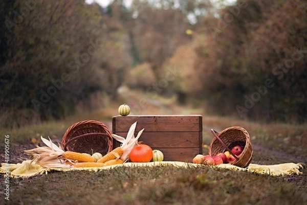 Obraz autumn still life