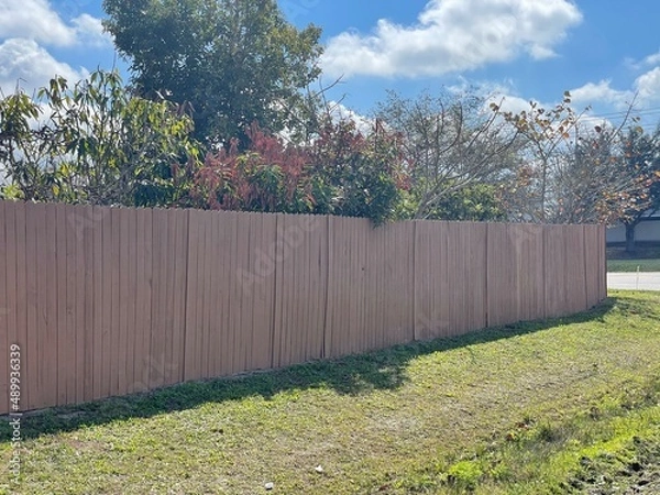 Obraz flowers in the garden