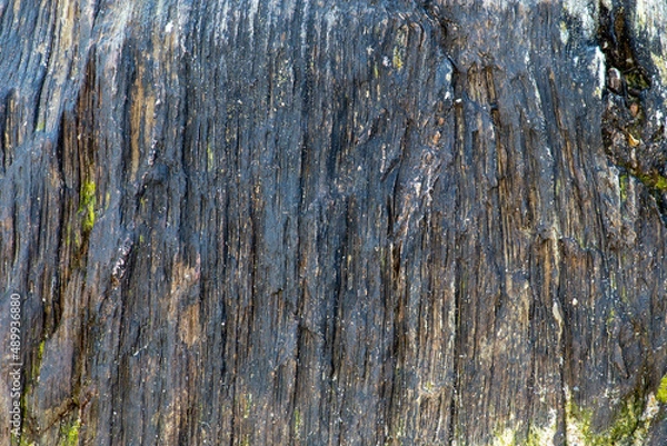 Fototapeta texture of the rock on the beach near me