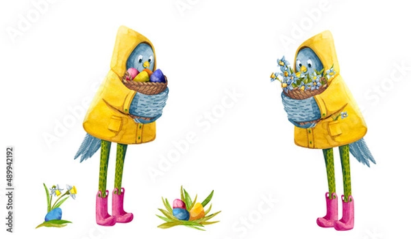 Fototapeta Watercolor funny chicken characters with eggs and narcissus in a yellow raincoat and rain boots. Cute Easter holidays set with birds on white background.