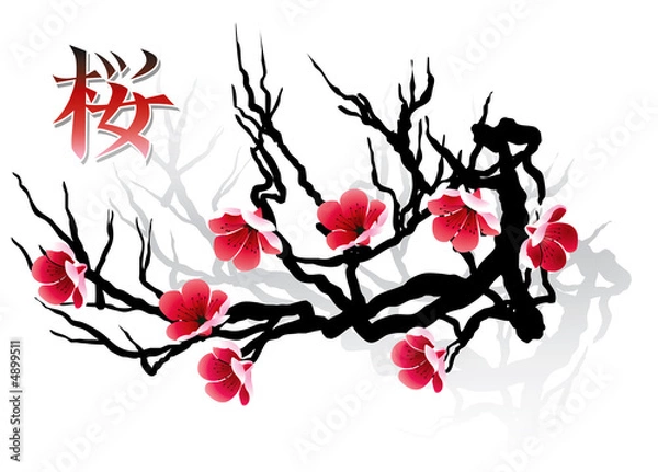 Obraz SAKURA branch and calligraphy