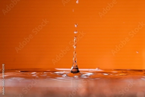 Fototapeta Drop's life