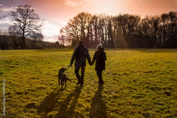 Obraz para z psem zachód słońca