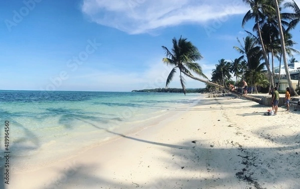 Obraz beach with palm trees