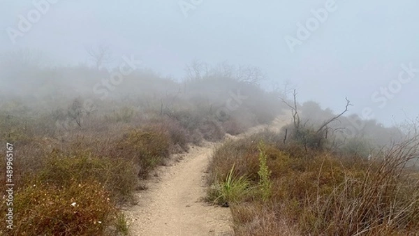 Fototapeta Backbone Trail, hiking path leads into the fog, early morning in the Santa Monica Mountains, Southern California