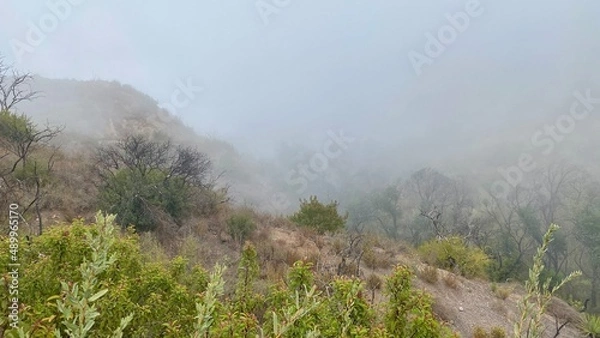 Fototapeta Fog covered landscape on the Backbone Trail hiking path through Santa Monica Mountains, Southern California, early morning