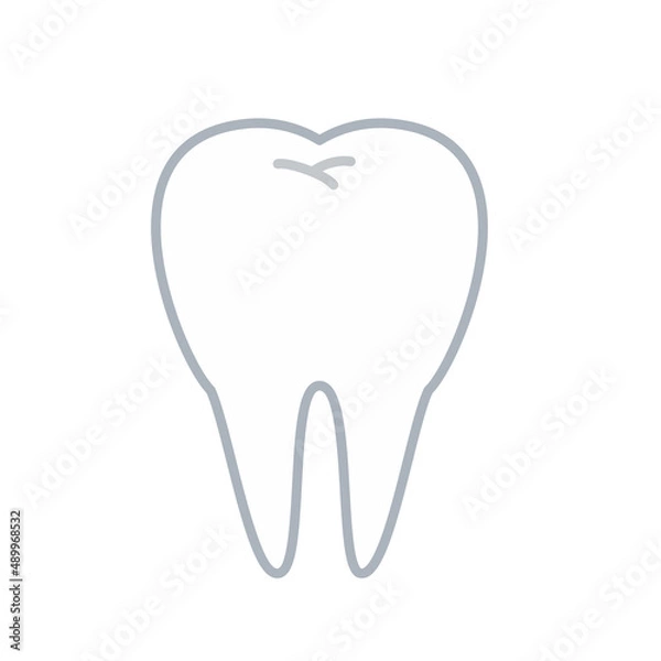 Obraz 健康的な歯の全体