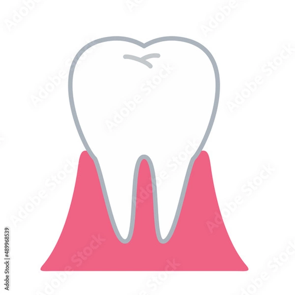 Obraz 健康的な歯と歯茎