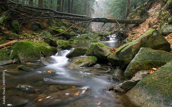 Obraz Magurski Park Narodowy