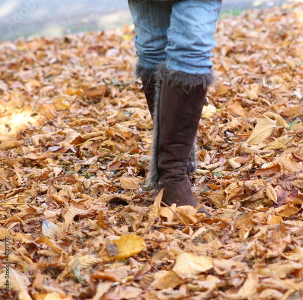 Fototapeta walking in leaves