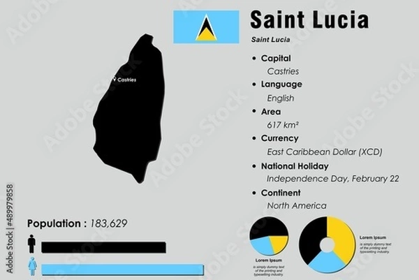 Fototapeta Saint Lucia infographic vector illustration complemented with accurate statistical data. Saint Lucia country information map board and Saint Lucia flat flag