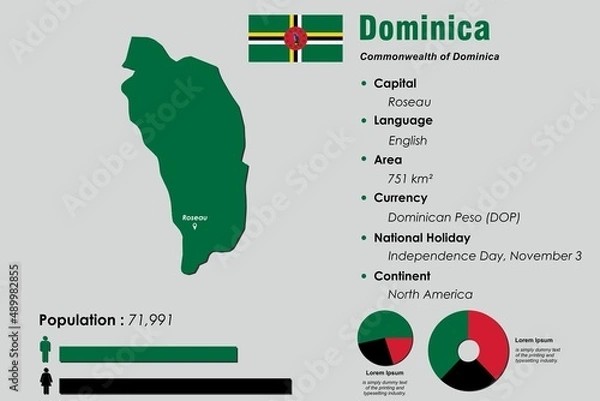 Fototapeta Dominica infographic vector illustration complemented with accurate statistical data. Dominica country information map board and Dominica flat flag