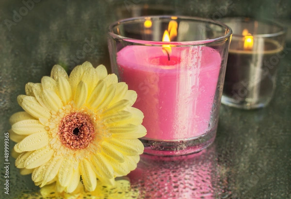 Obraz yellow gerber flower and candle